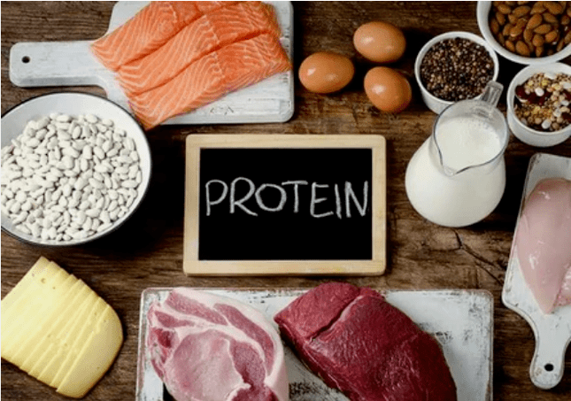 A protein diet product