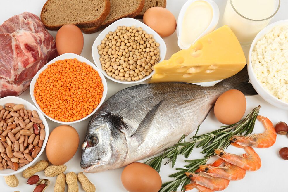 characteristics of the protein diet